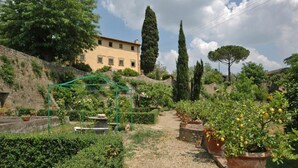 Un chemin de jardin bordé de plantes en pot et surmonté d’une pergola.