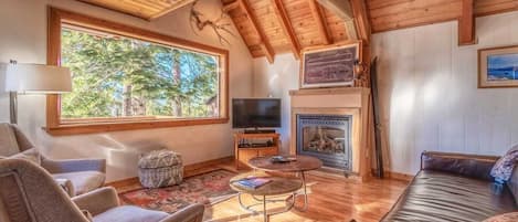 Télévision, cheminée, Netflix, Hulu