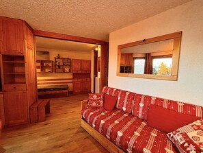TV, DVD player, stereo - 2-room Apartment for 5 in La Plagne - Pets Allowed (La Plagne-Tarentaise)