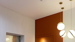 Un interior moderno con piso de madera, una puerta con lámpara y una pared con textura.