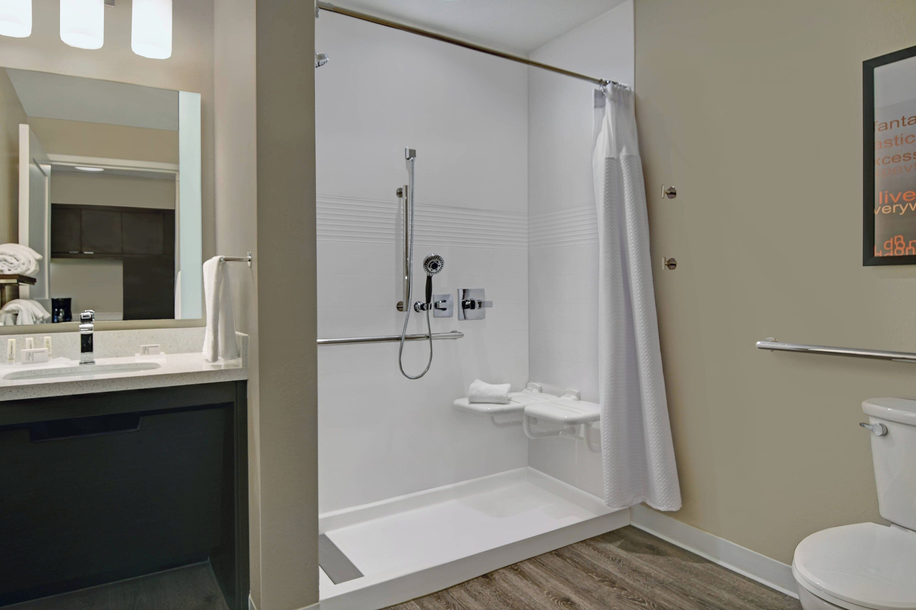 hair dryer, soap, shampoo, toilet paper