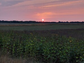 Unclassified image, 3 of 9, button