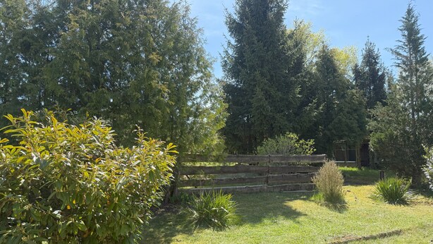 Un giardino con una recinzione in legno, diversi arbusti e alberi alti.
