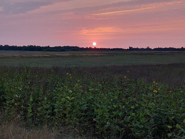 Miscellaneous - Ferienhaus Jamshidi, Deutschland (Waren (Müritz))