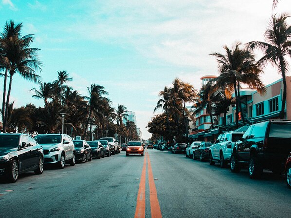 A street lined with parked cars and palm trees, with buildings on the right side.
