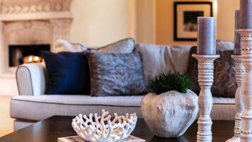 TV, fireplace, books