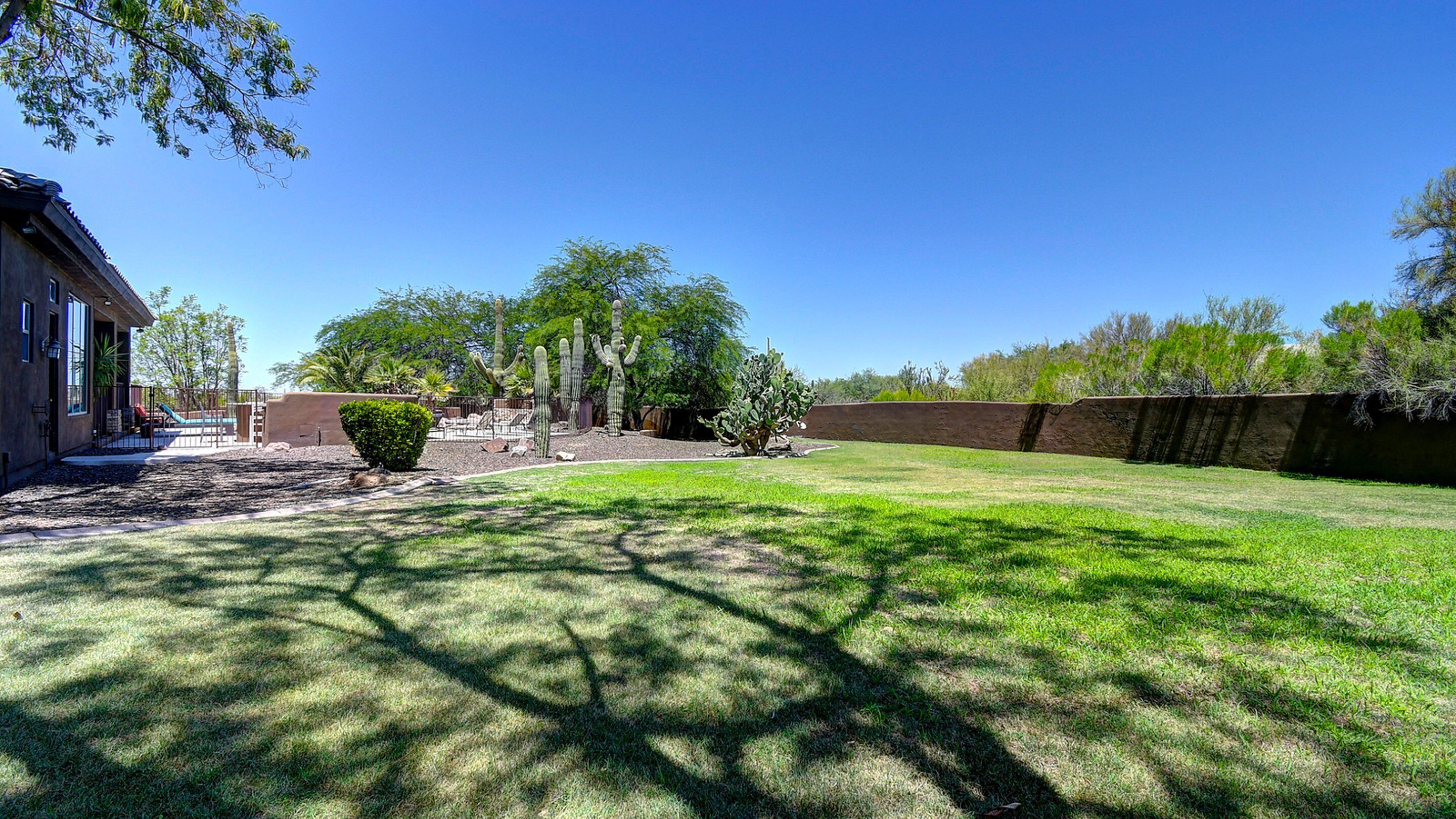 A backyard with a lawn, cacti, a pool, and a house.