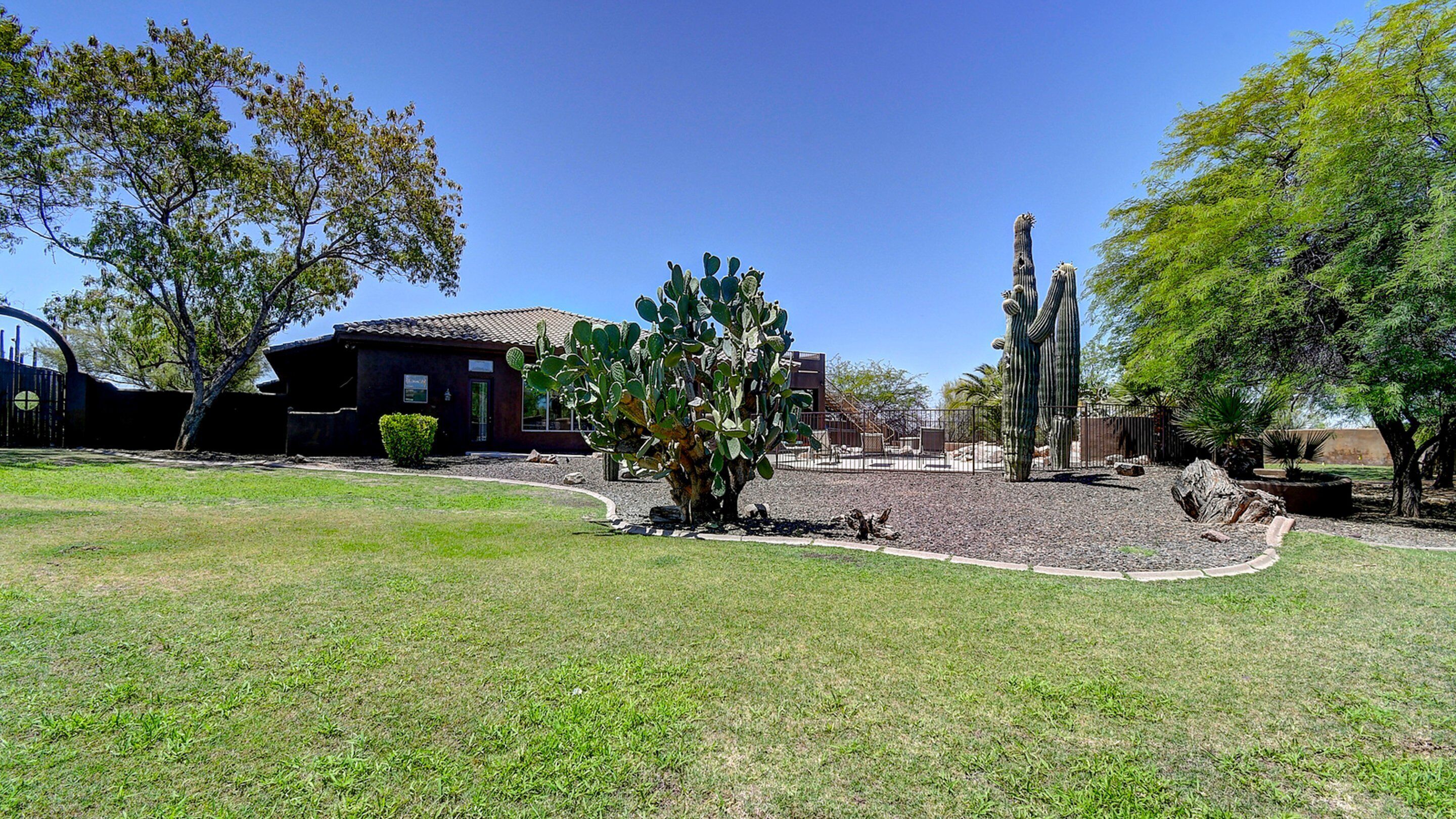 A courtyard with a cactus, a building, and a fenced area.