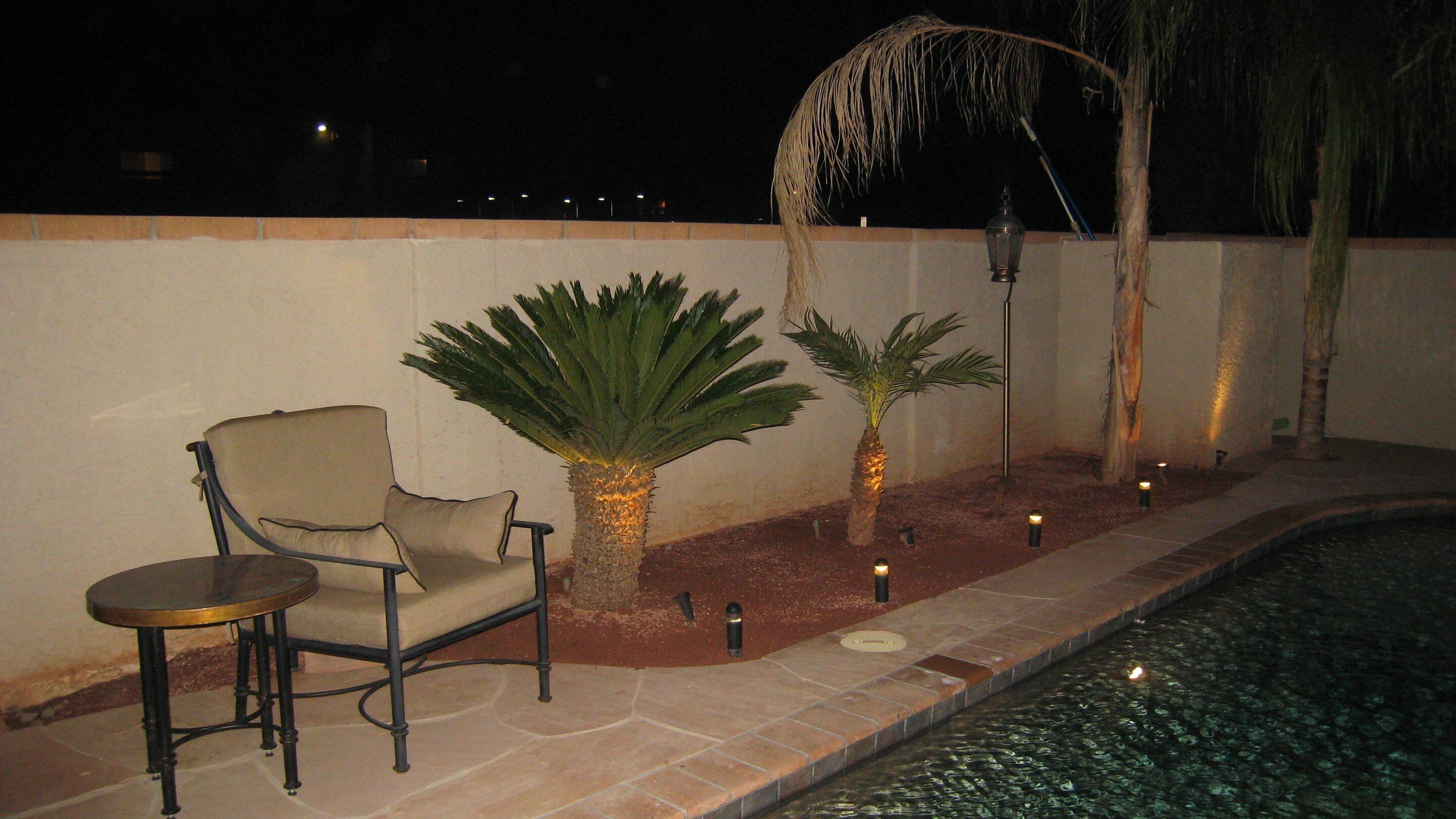 A poolside area with a chair, two palm plants, and a lamp post.