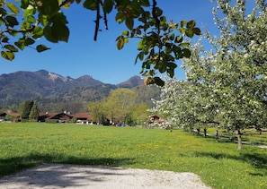 Overnatningsstedets område