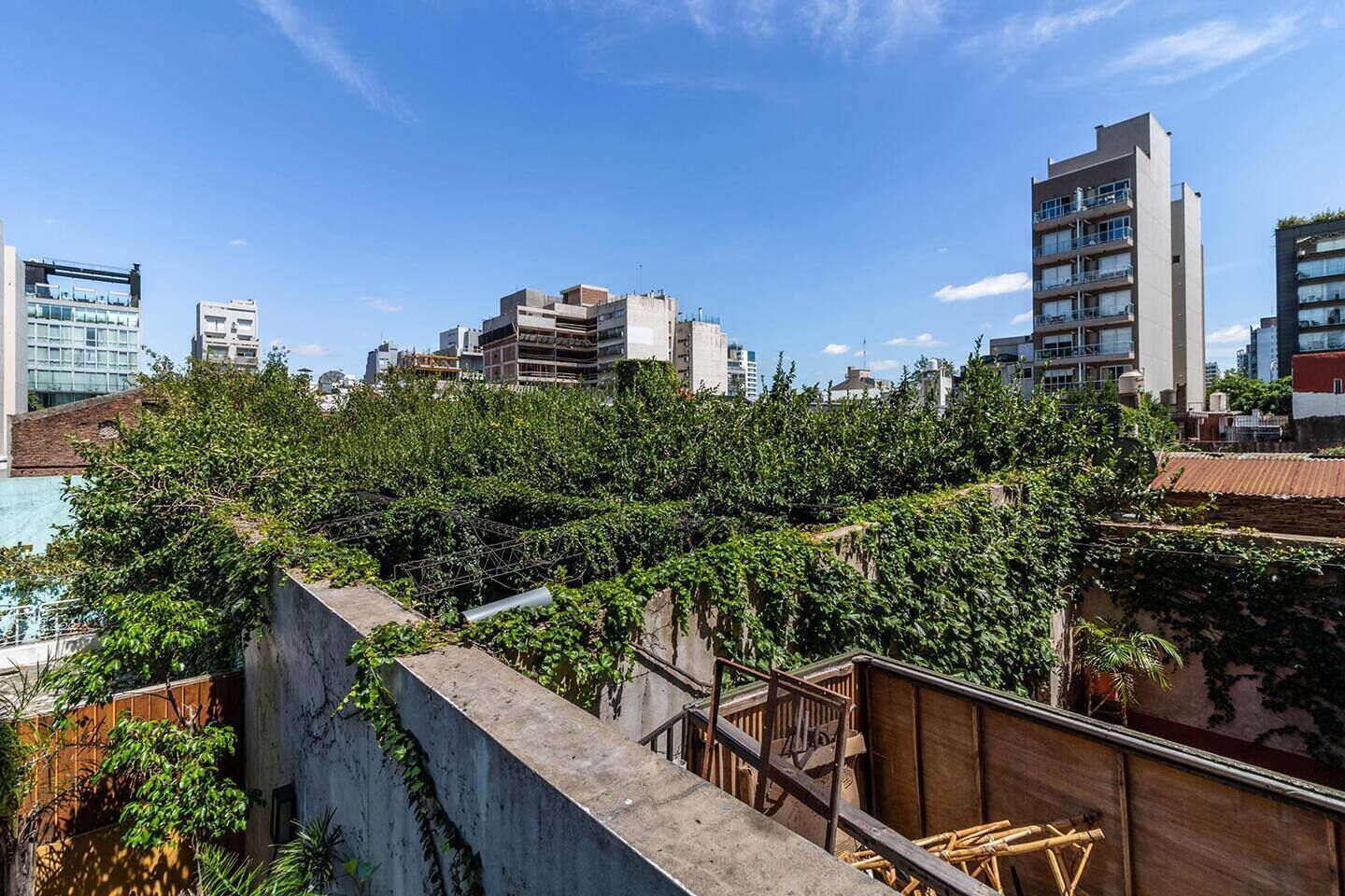 Un jardín en la azotea con abundante vegetación, un muro de hormigón y una escalera de bambú.