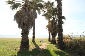 On the beach - Air-conditioned house Hyères 7 minutes walk from the beach enclosed grounds of 1300 m2. (Hyères)