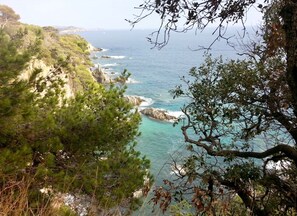 A coastal landscape with rocky cliffs and clear blue sea. - Air-conditioned beach house: 7-minute walk, fenced-in yard, charging station for electric cars (Hyères)