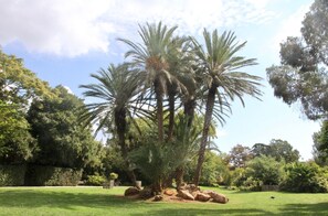 Property grounds - Air-conditioned house Hyères 7 minutes walk from the beach enclosed grounds of 1300 m2. (Hyères)