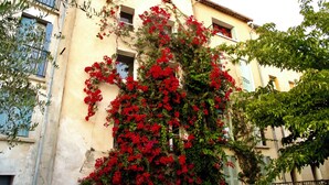 A building with a yellow facade, red flowers, and green shutters.