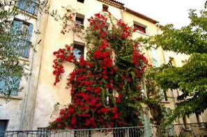 Exterior - Air-conditioned house Hyères 7 minutes walk from the beach enclosed grounds of 1300 m2. (Hyères)