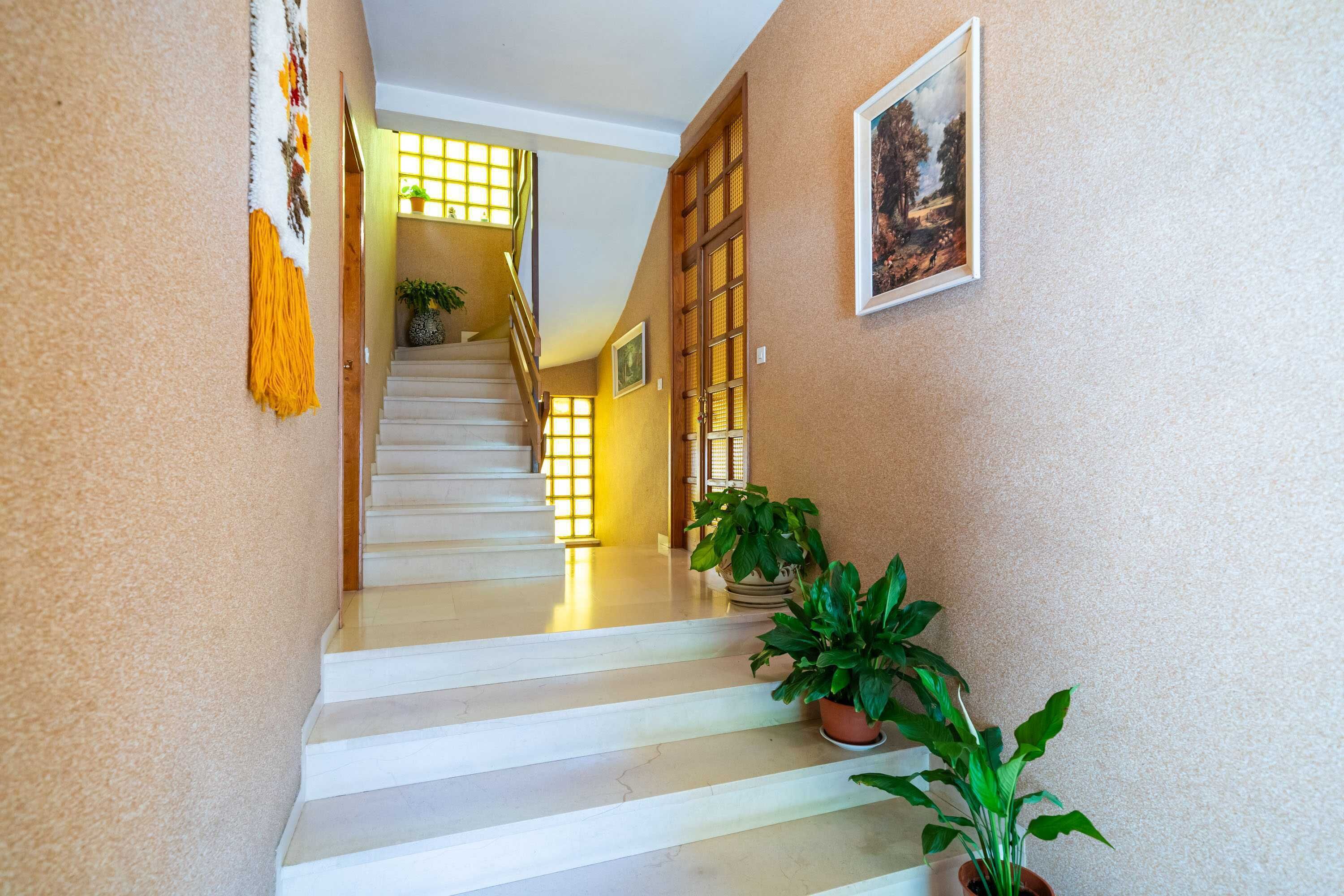 Apartment (Two-Bedroom Apartment with Terrace) | Interior