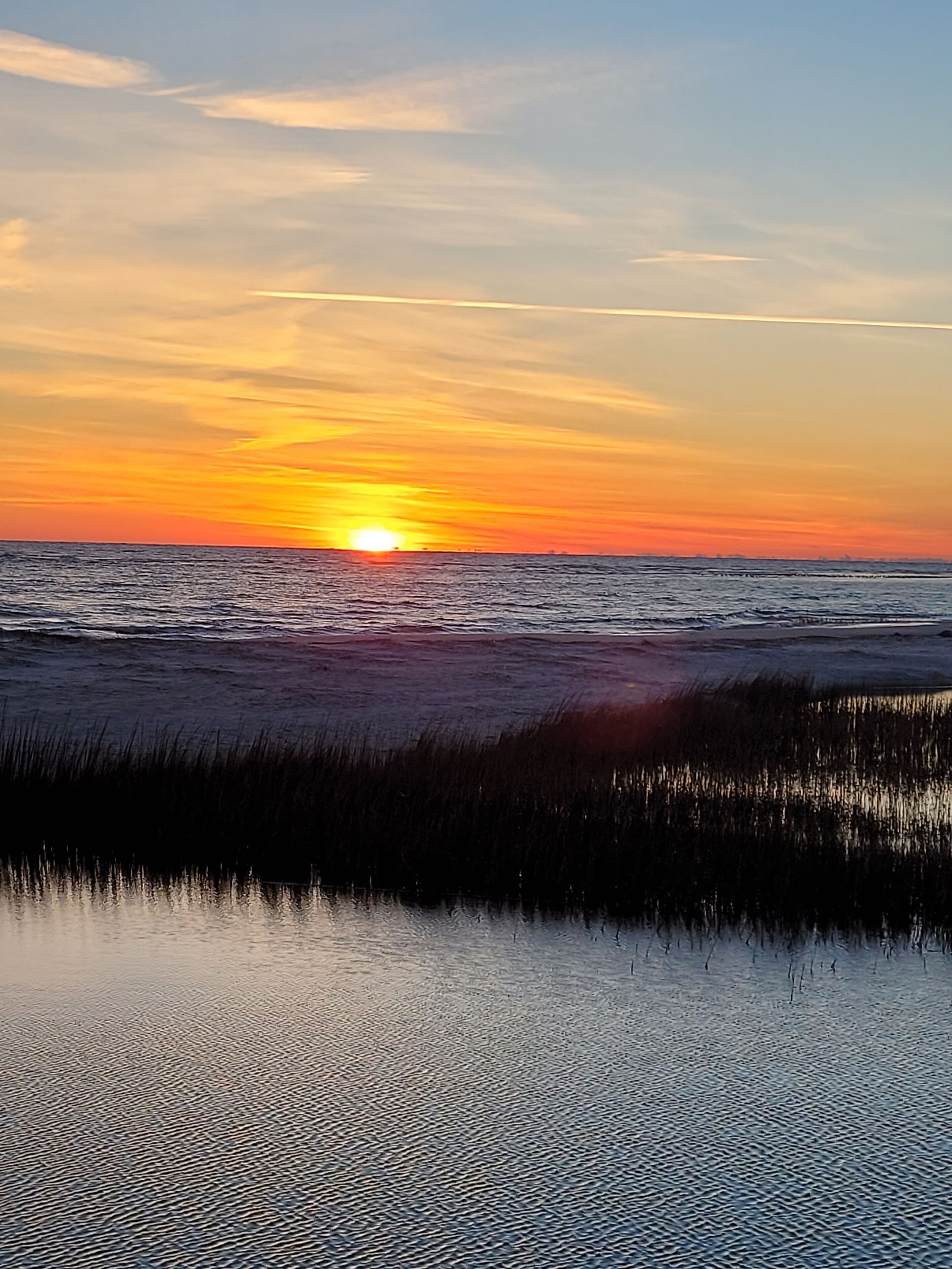 A sunset over a calm sea with a grassy shoreline.