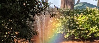 Ocean front complex, ocean and lagoon view villa. A quiet, natural paradise. 