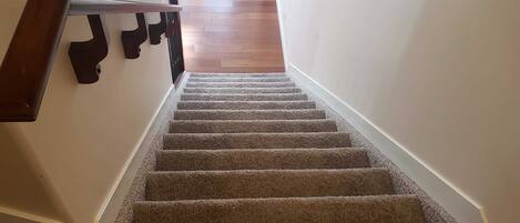 A carpeted staircase with a wooden handrail leading to a room with a wooden floor.