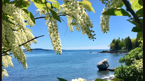 在海灘附近