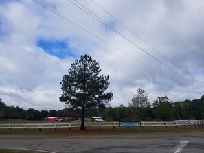 Sports court - Sweet Pea TINY Home (Danville)