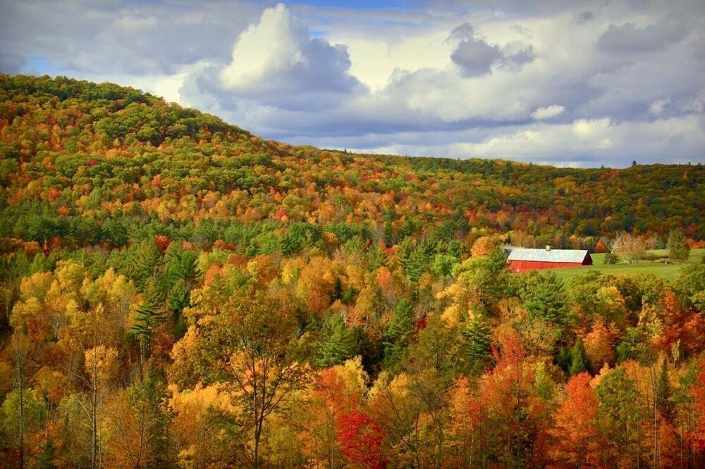 Tranquility: Secluded White Mountains New Build Custom Log Home on 5 acres
