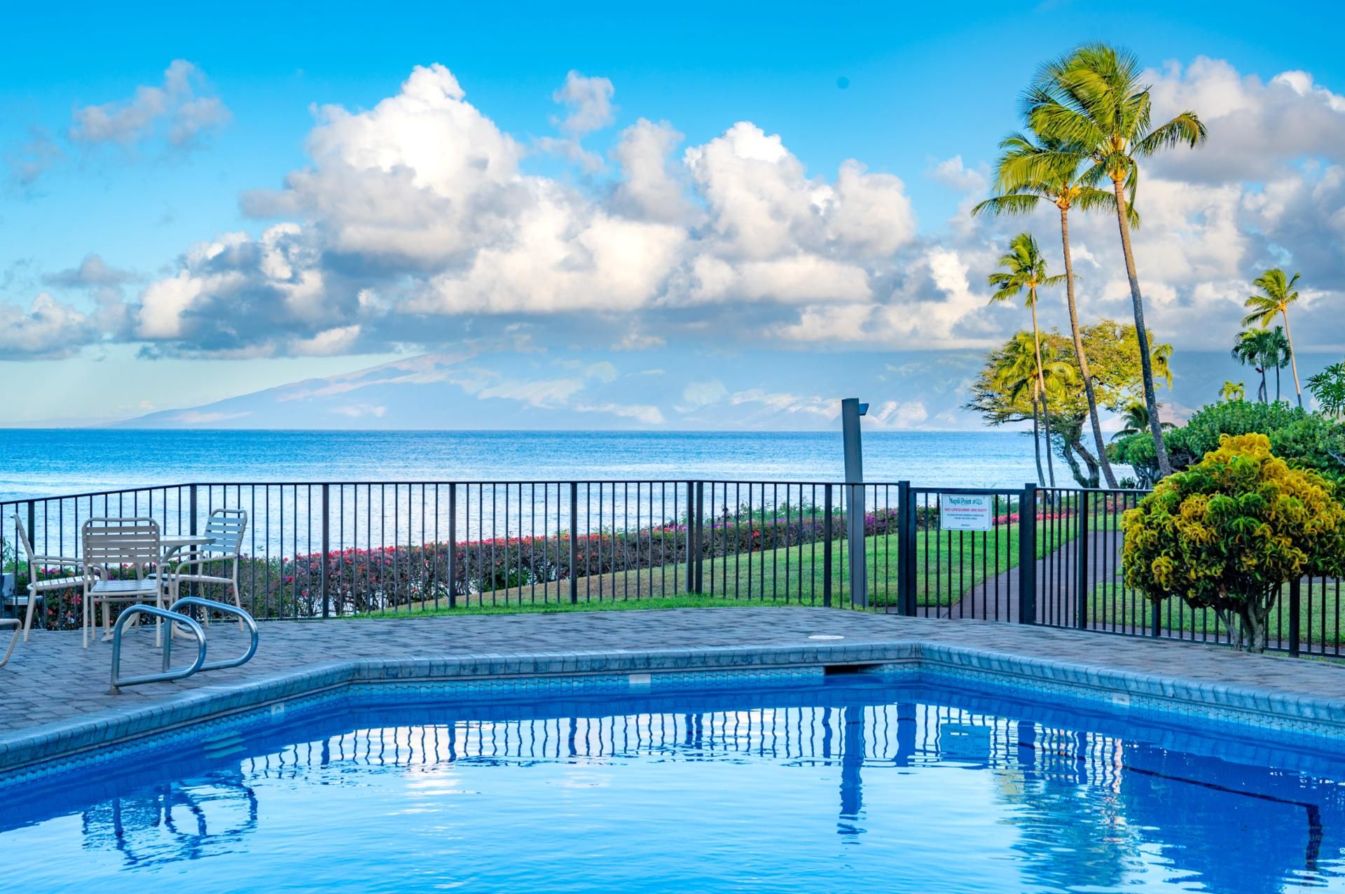 Ein Pool mit Blick auf den Ozean und Palmen.