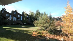 A residential area with multiple houses, a grassy lawn, and trees.