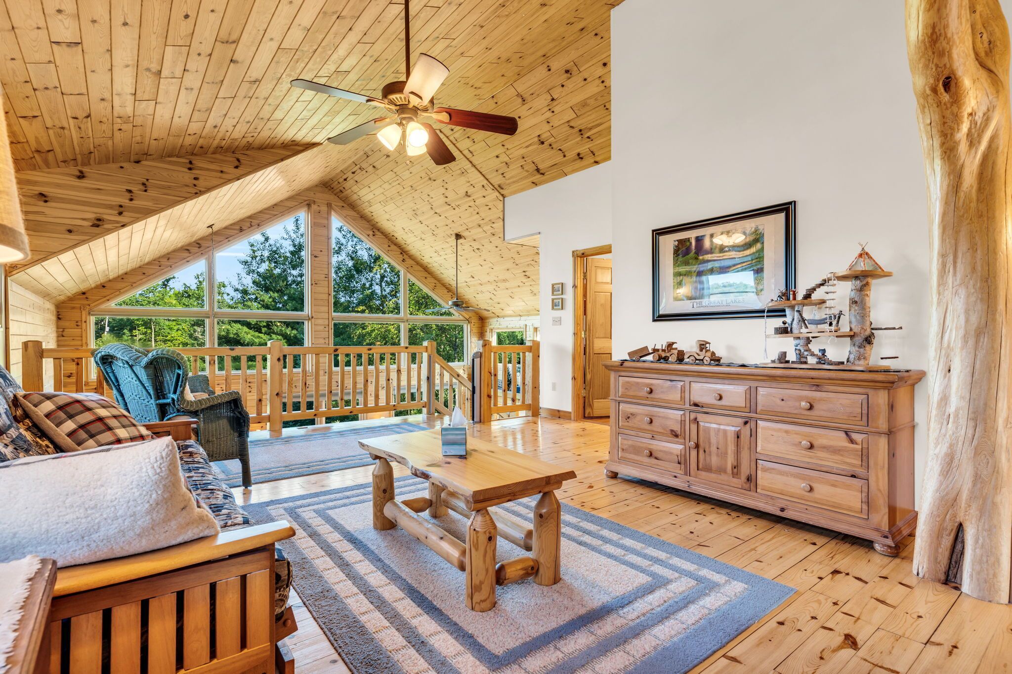 智能电视、壁炉、DVD 播放器、书