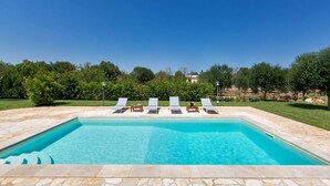 Une piscine rectangulaire bordée de pierres, entourée d’une pelouse et d’arbres.