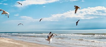 BEACH SIDE DISCOUNTS! 4bd 2.5ba Short Walk 2 Beach & Easy Access+Views!