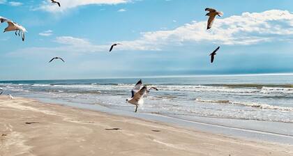 BEACH SIDE DISCOUNTS! 4bd 2.5ba Short Walk 2 Beach & Easy Access+Views!