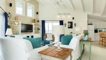 Smart TV, DVD player, books, streaming services