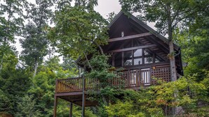 Een chalet met een houten terras, omgeven door dicht bos.