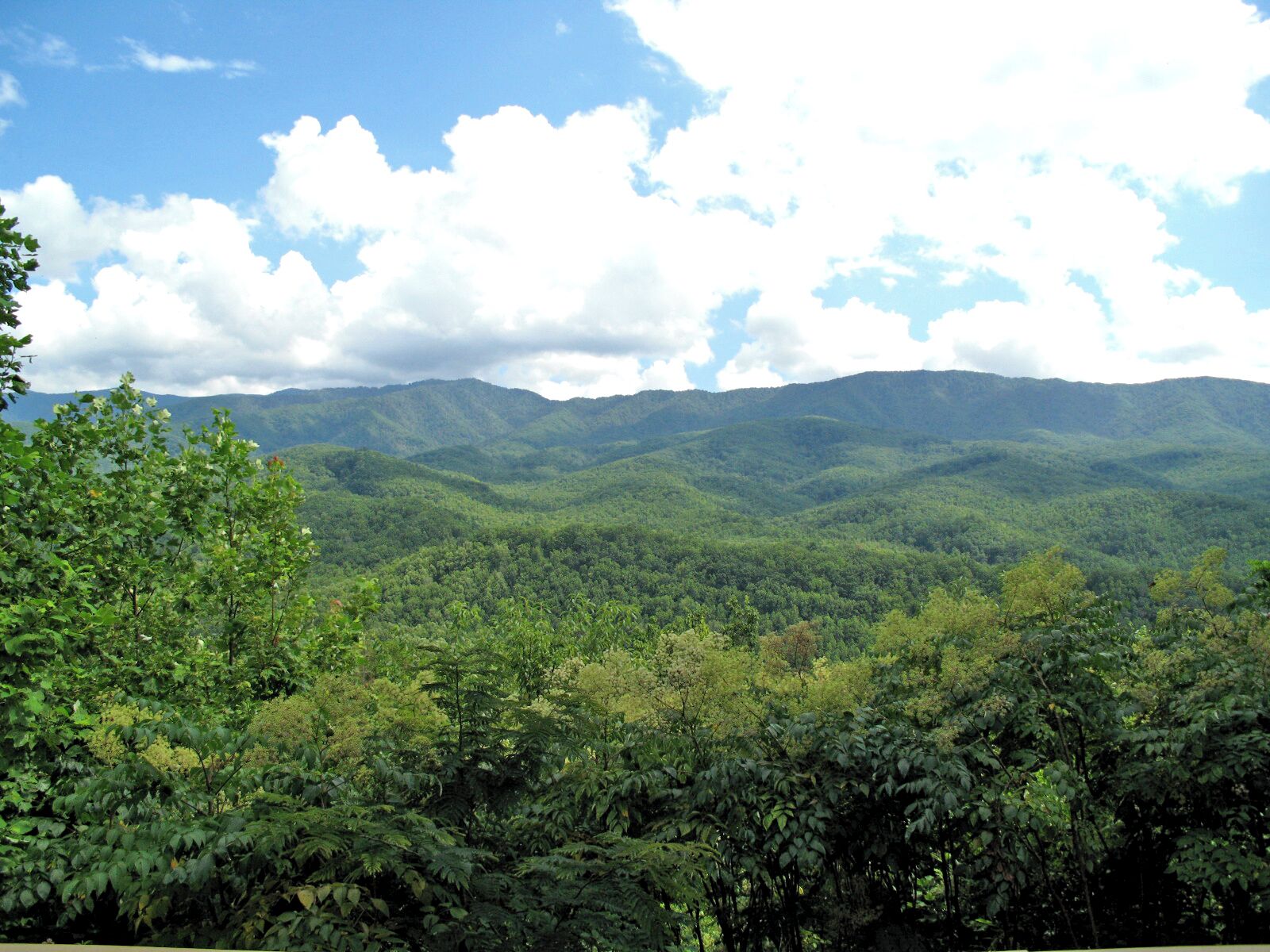 Un paisaje montañoso con bosque denso y cielo despejado.