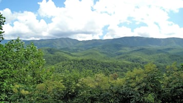 Un paisaje montañoso con bosque denso y cielo despejado.
