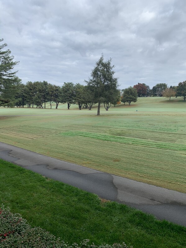 A grassy field with trees and a paved path.