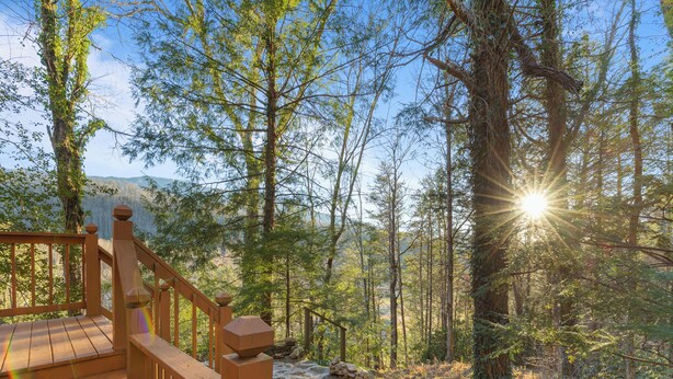 A wooden deck with a stone pathway leading into a forest. - Shooting Star by Jackson Mountain Rentals (Gatlinburg)