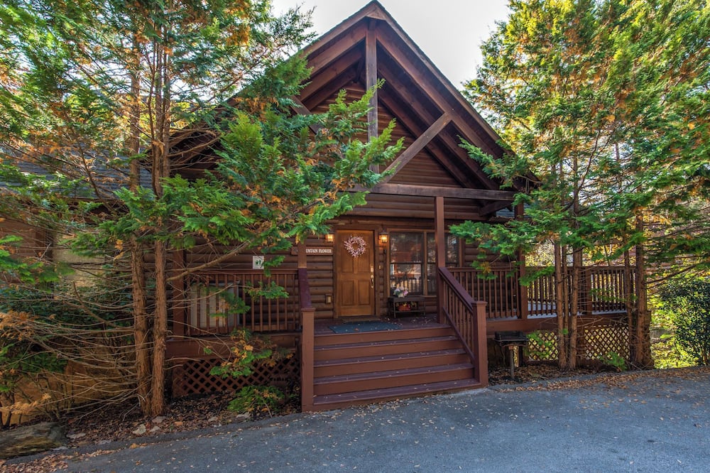 Mountain Flower by Jackson Mountain Rentals - Little Creek Falls, TN