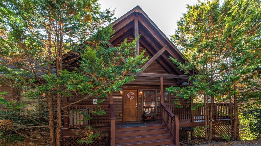 Mountain Flower by Jackson Mountain Rentals