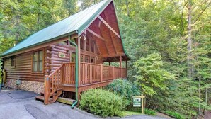 Eine Blockhütte mit Veranda und grünem Dach, umgeben von dichtem Wald.