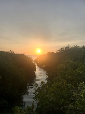 A sunset over a narrow waterway flanked by dense foliage. - Cozy creative getaway  guesthouse (Safety Harbor)