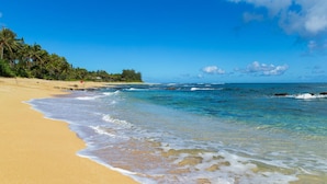 Une plage avec une eau d’un bleu limpide, un rivage sablonneux et des palmiers.