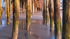 Een steiger met houten palen die in het water reiken, omringd door zand en spiegelingen.