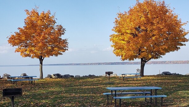 A park with two trees with autumn leaves, a picnic table, and a bench.