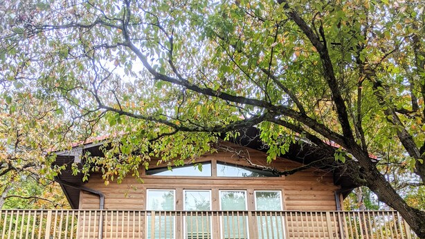 Een houten chalet met balkon, stenen fundering en een grote boom ervoor.