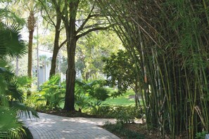 Property grounds - Marriott's Cypress Harbour-8 guests-Thanksgiving weekend-Orlando's highest rated (Orlando)