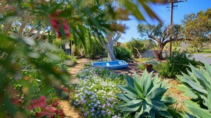 A garden with a small pool, various plants, and a tree. - Silvers Anchor - 2 Bennett Street (CARRICKALINGA)