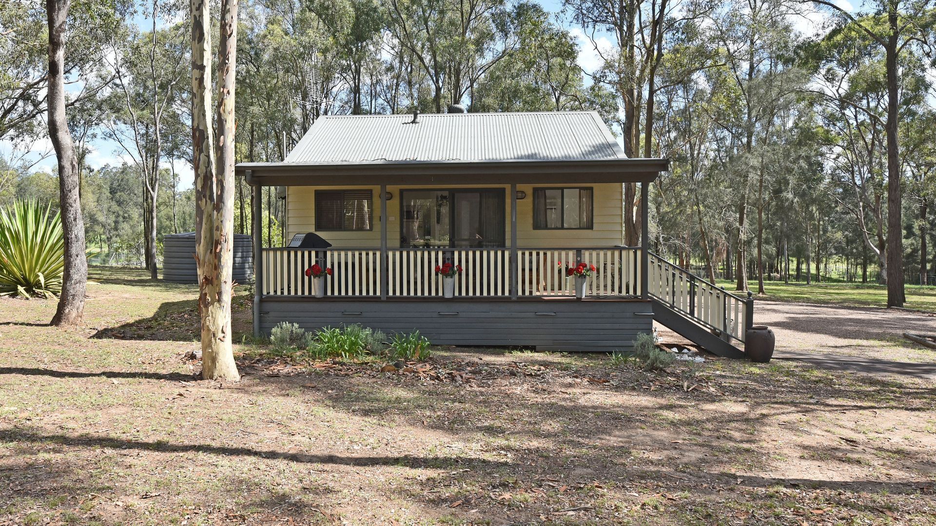 Olive Grove 3  1 Bedroom Cabin with large Bath and walk to wineries — image 3